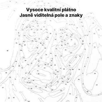 Maľovanie podľa čísel – Divočina (HRAmal01163nad)