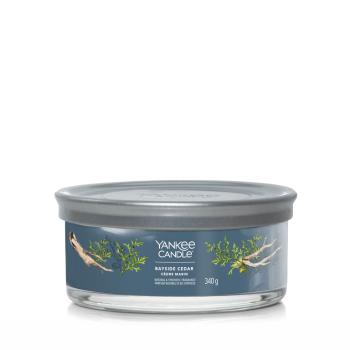 Yankee Candle Aromatická sviečka Signature tumbler stredná Bayside Cedar 340 g