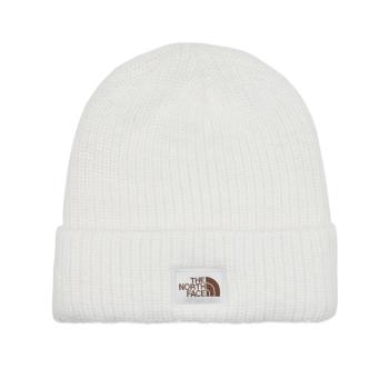 The North Face  SALTY BAE LINED BEANIE  Čiapky Biela