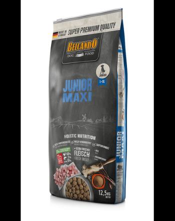 BELCANDO Junior Maxi hrana uscata pentru cainii cu varsta 4 luni+, talie L-XL, 12.5 kg