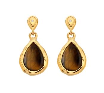 Hot Diamonds Pozlátené visiace náušnice s diamantmi a tigrím okom Gemstones DE819