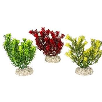 Ebi Aqua Della Canadensis mix farieb 13 cm 1 ks (4047059457917)