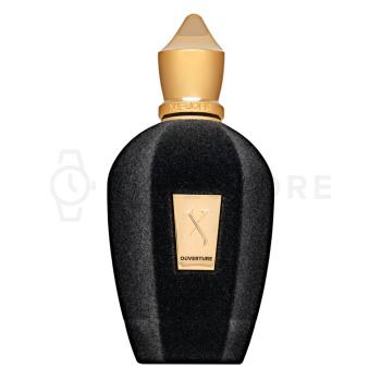 Xerjoff Overture parfémovaná voda unisex 100 ml   - 30 dní na vrátenie tovaru, Garancia originality
