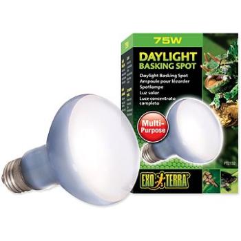 Hagen Žárovka Daylight Basking Spot 75 W (015561221320)