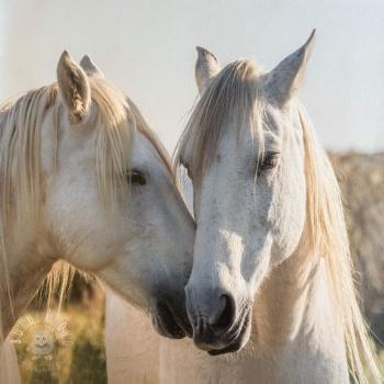 Umelá koža KARIA Horse love PANEL