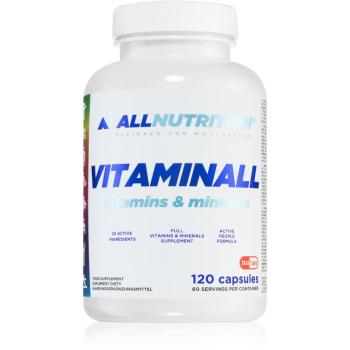 Allnutrition VitaminAll Vitamins & Minerals komplexný multivitamín s minerálmi 120 cps