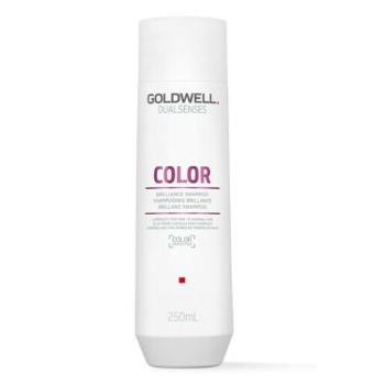 GOLDWELL Dualsenses Color Šampón pre normálne až jemné farbené vlasy 250 ml