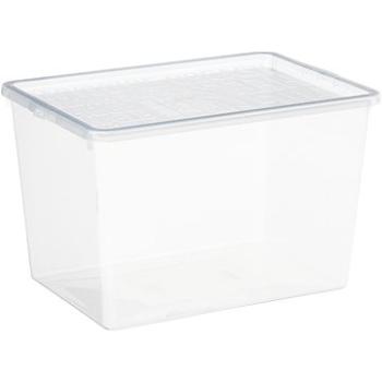 Plast Team - Úložný box na topánky na vysokom opätku 23,8 × 34 × 21,2 cm Basic Shoe Box (19830800)