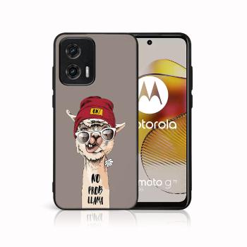 MY ART Ochranný kryt pre Motorola Moto G73 5G PROBLLAMA (187)