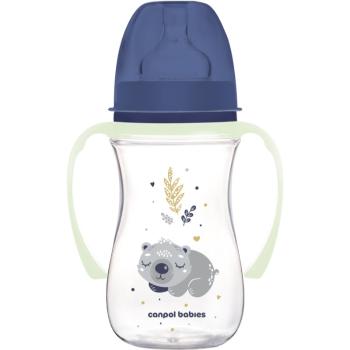 Canpol babies EasyStart Sleepy Koala 240 ml dojčenská fľaša 3 m+ Blue 240 ml