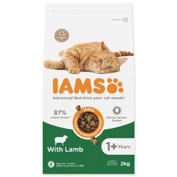 IAMS Cat Adult Lamb 2kg