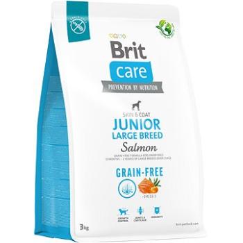 Brit Care Dog Grain-free s lososom Junior Large Breed 3 kg (8595602558872)