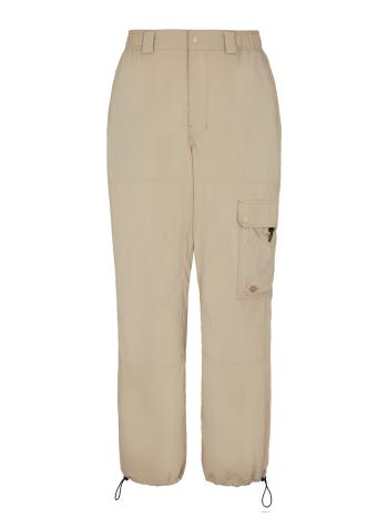 DICKIES Cargo nadrágok 'JACKSON'  bézs