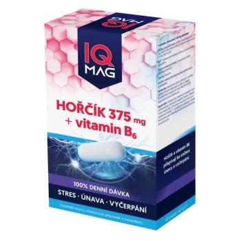 IQ MAG horčík 375 mg + B6 60 kapsúl