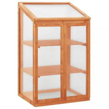 Skleník 60x45x100 cm Dekorhome