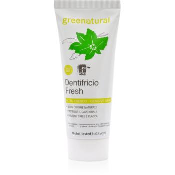 Greenatural Toothpaste Mint & Eucalyptus zubná pasta 75 ml