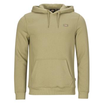 Dickies  OAKPORT HOODIE  Mikiny Kaki