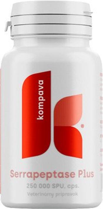 KOMPAVA Serrapeptase Plus 355 mg 90 kapslí