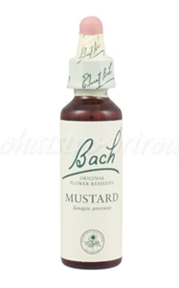 Mustard - Horčica poľná 20 ml - bachove kvapky