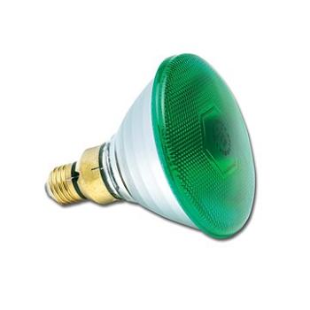 PAR38 240 V 80 W E27 FL30° Green (0019651)