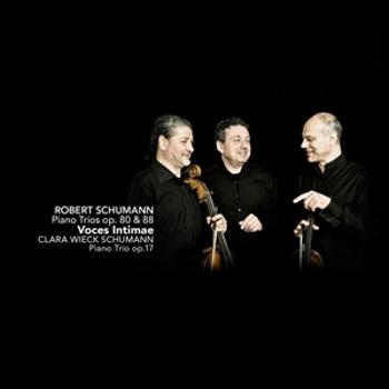 VOCES INTIMAE - PIANO TRIOS OP.80 & 88, CD