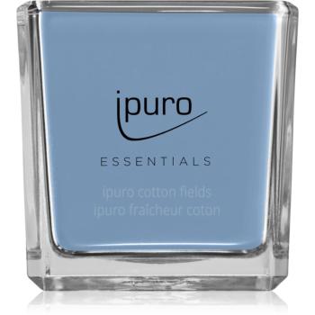 ipuro Essentials Cotton Fields vonná sviečka 125 g