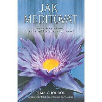 Jak meditovat (978-80-737-0280-9)