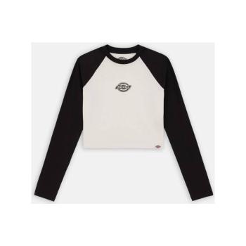 Dickies  SODAVILLE TEE LS  Tričká a polokošele Biela