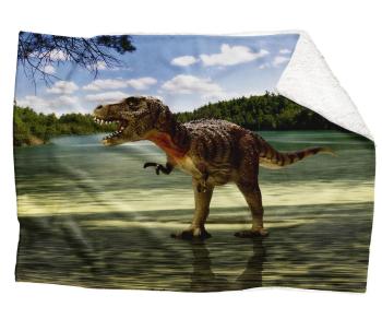 Deka Tyrannosaurus  (Rozmer: 200 x 140 cm, Podšitie baránkom: ÁNO)