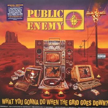 Public Enemy - What You Gonna Do When The Grid Goes Down (LP)