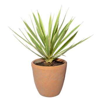 Gasper Umělá rostlina Yucca, 45 cm