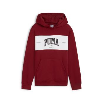 Puma  PUMA SQUAD  Mikiny Bordová