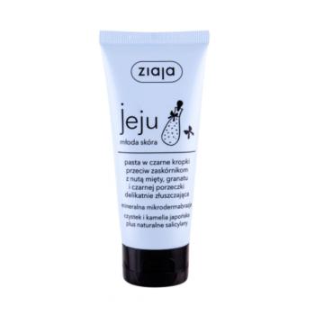 ZIAJA Jeju mikro-exfoliačná pleťová peelingová pasta 75 ml