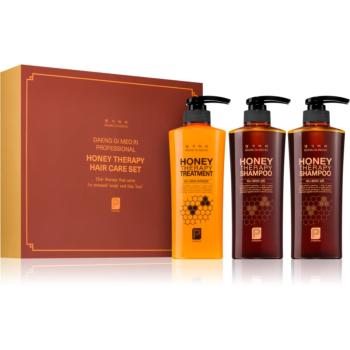 DAENG GI MEO RI Honey Therapy Professional Hair Care Set darčeková sada pre výživu a hydratáciu