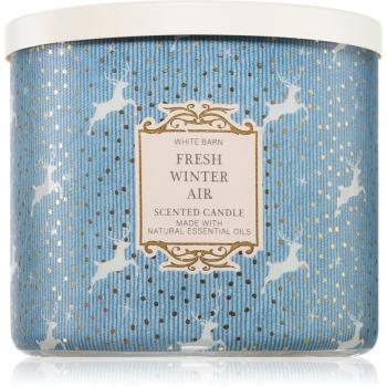 Bath & Body Works Fresh Winter Air vonná sviečka 411 g