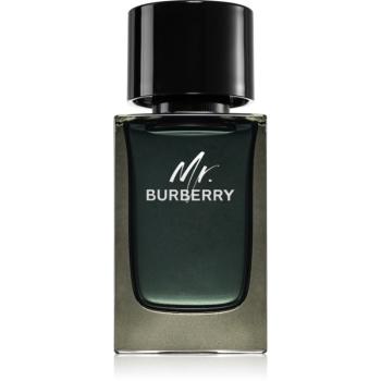 Burberry Mr. Burberry parfumovaná voda pre mužov 100 ml