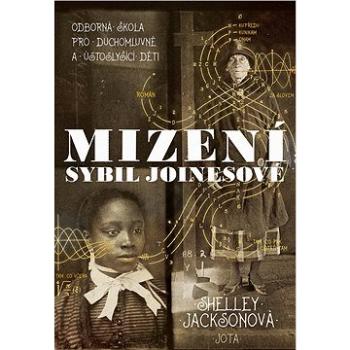 Mizení Sybil Joinesové (978-80-7565-848-7)