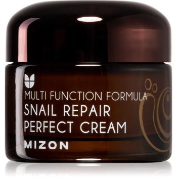 Mizon Multi Function Formula  Snail bőrkrém csiga szekréció 60% szűrletével 50 ml