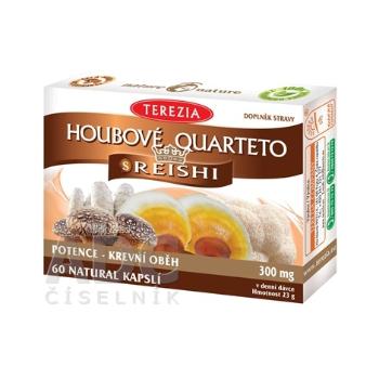 TEREZIA HUBOVÉ QUARTETO s REISHI 60