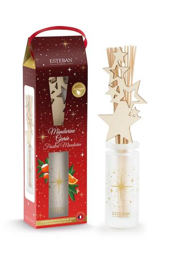 Aroma difuzér Esteban Frosted Mandarin 100 ml viac farieb