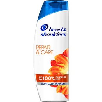 HEAD&SHOULDERS Anti Hairloss 400 ml (4084500610699)