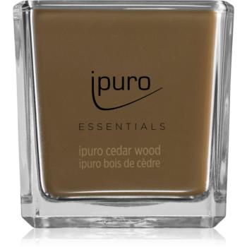 ipuro Essentials Cedar Wood vonná sviečka 125 g