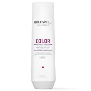 Goldwell Šampón pre normálne až jemné farbené vlasy Dualsenses Color (Brilliance Shampoo) 250 ml