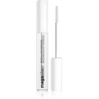 Wet n Wild Mega Clear transparentná riasenka na mihalnice a obočie odtieň Transparent 8.5 ml