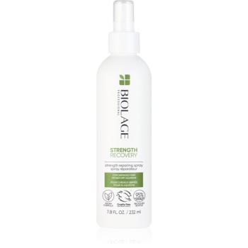 Biolage Strength Recovery posilňujúca bezoplachová starostlivosť pre poškodené vlasy 232 ml