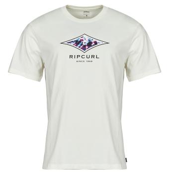 Rip Curl  FILLER TEE  Tričká s krátkym rukávom Biela