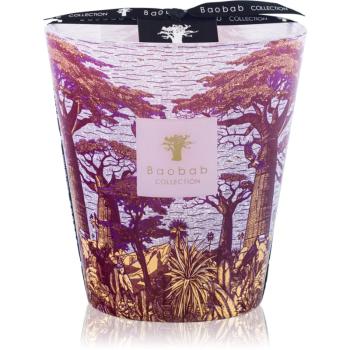 Baobab Collection Sacred Trees Massasso vonná sviečka 16 cm