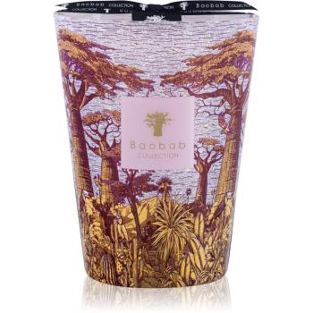 Baobab Collection Sacred Trees Massasso vonná sviečka 24 cm