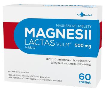 VULM Magnesii lactas vulm 60 tabliet