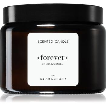 Ambientair The Olphactory Citrus & Shades vonná sviečka Forever 360 g